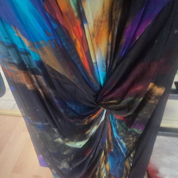 Ted Baker Vivid long dress and sleeves dress size 4. Zips up the back. Cinch low - Picture 4 of 10